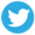 Twitter Logo